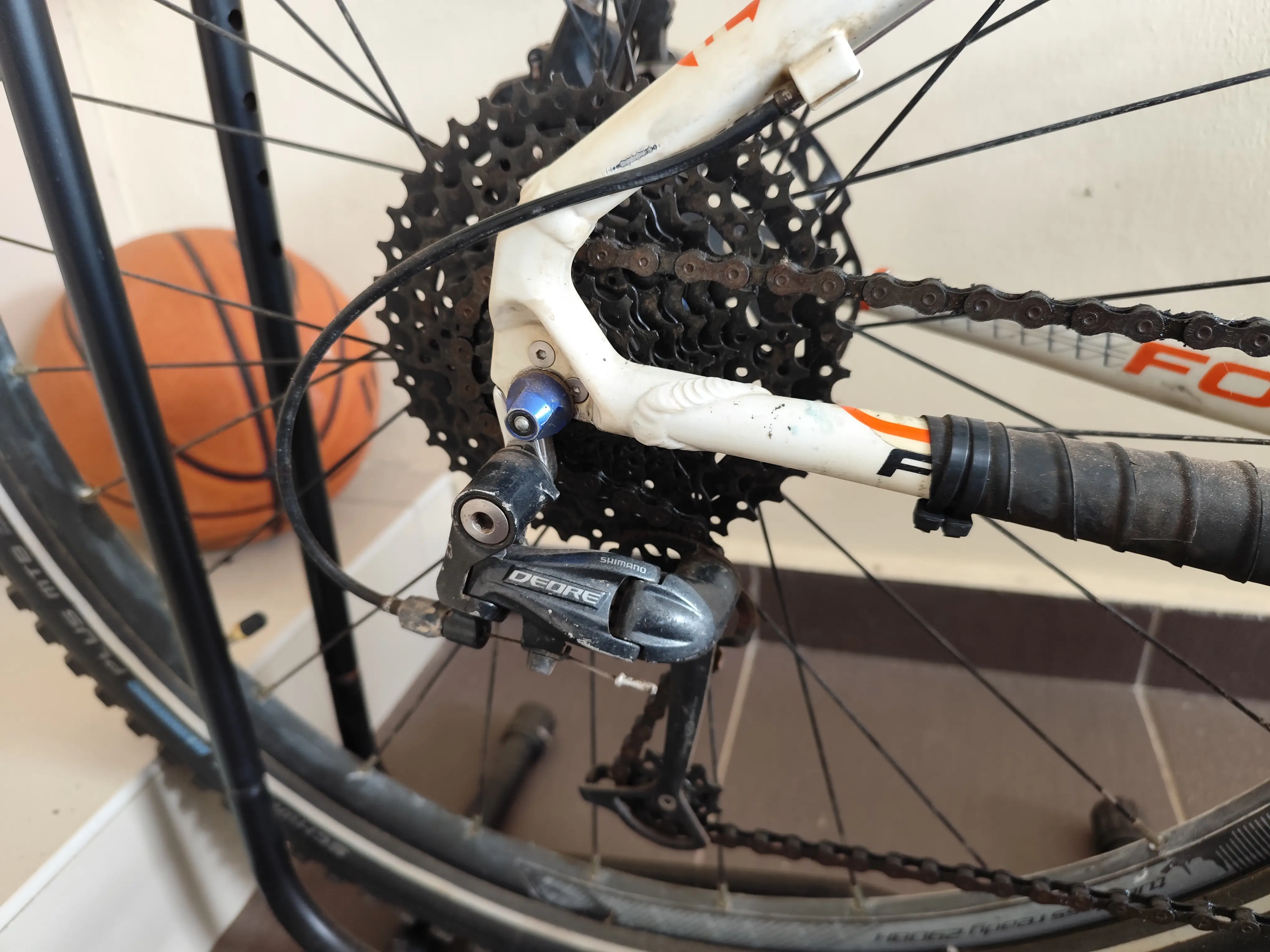 Focus Black Forest 29er MTB