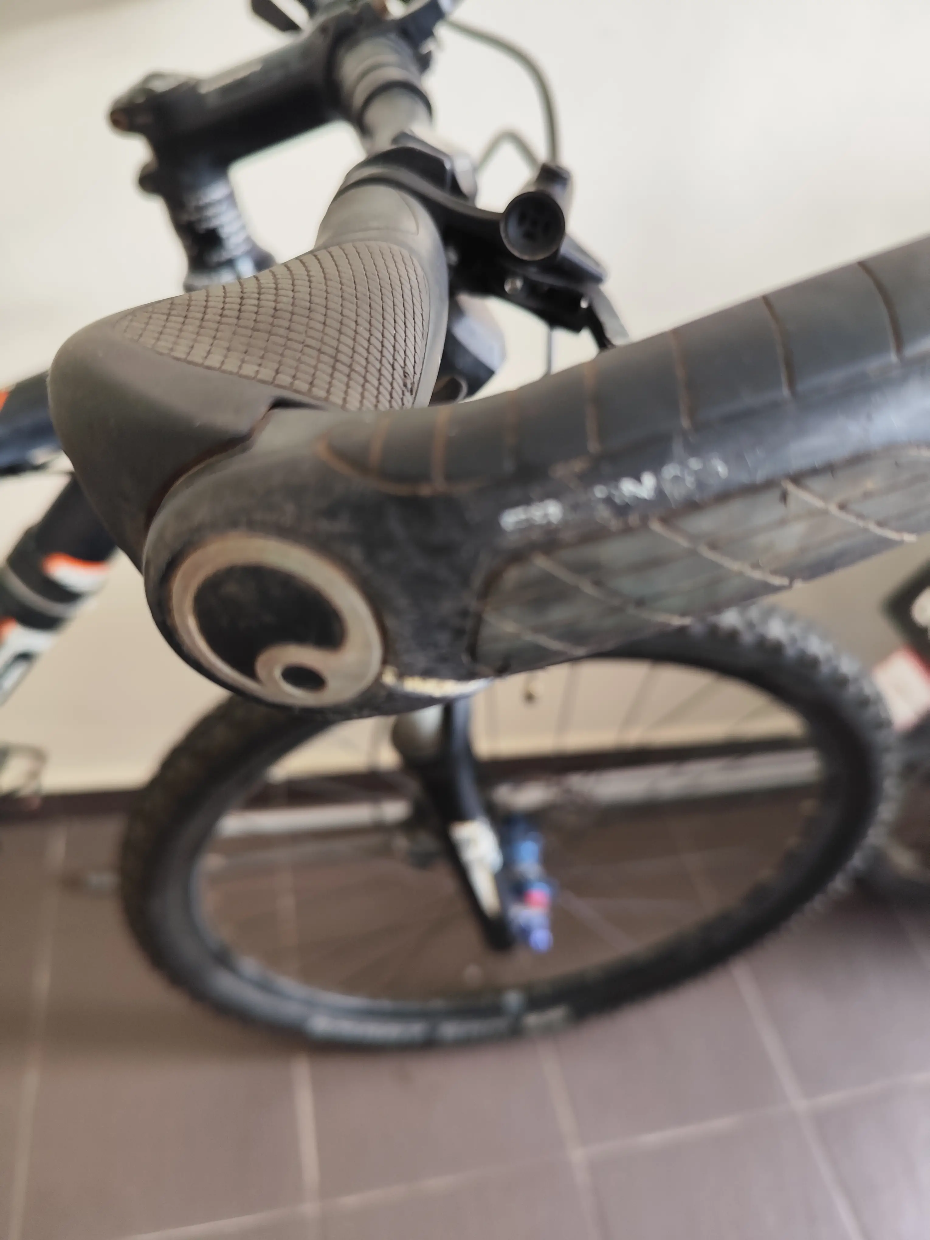 Focus Black Forest 29er MTB