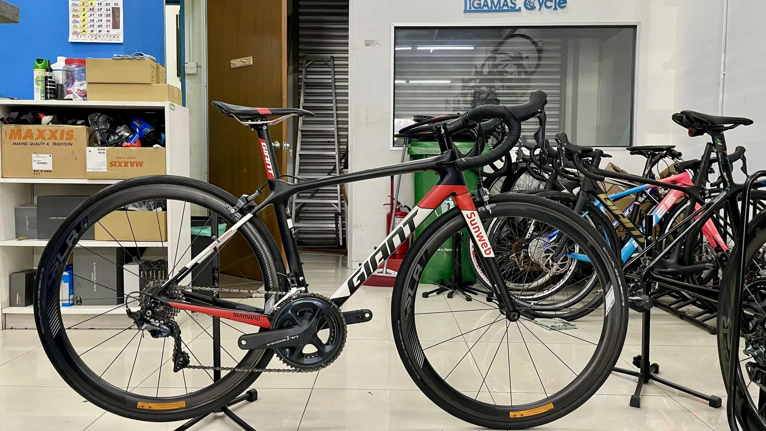 Giant TCR Pro Sunweb for Sale