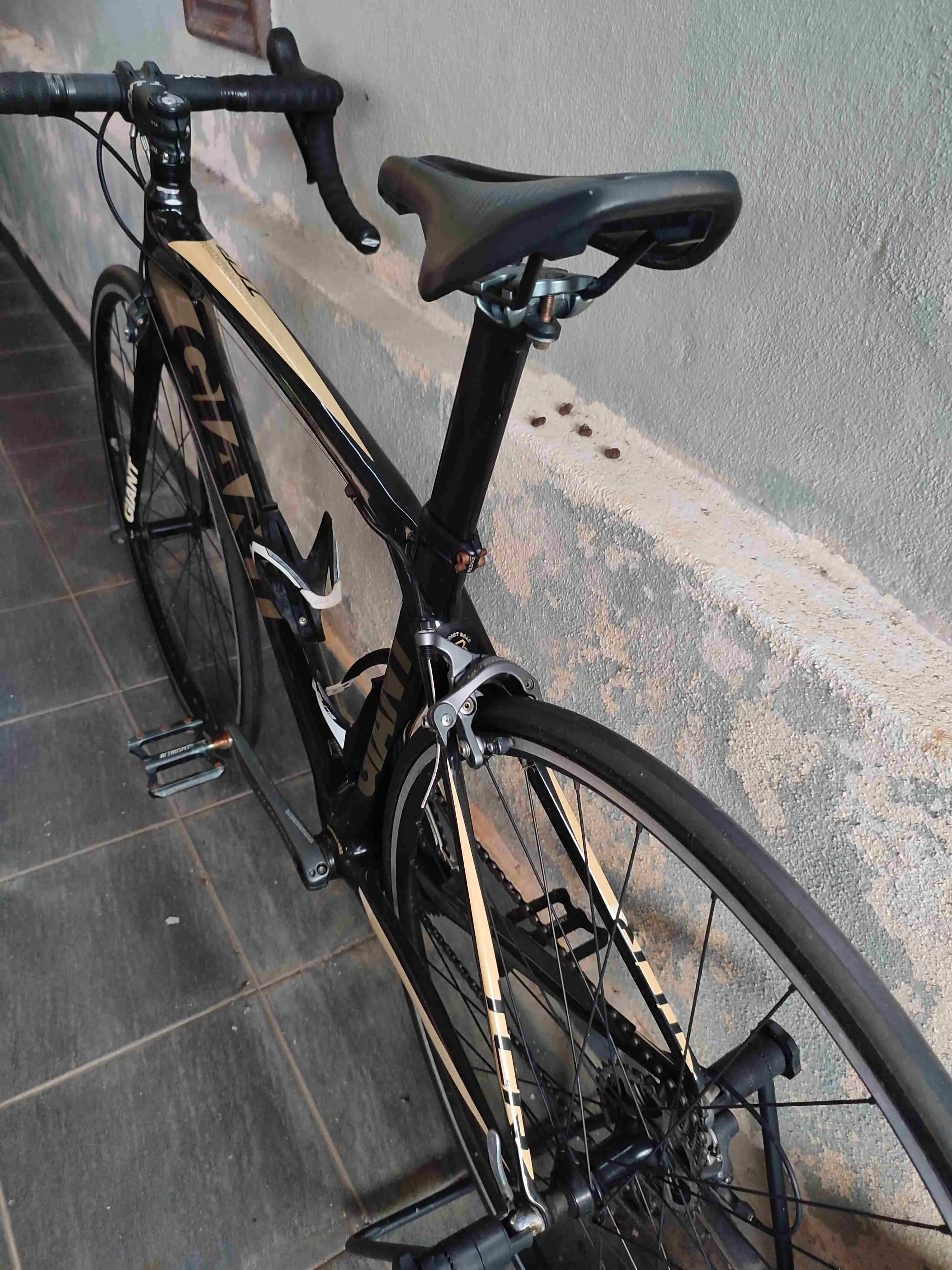 Giant TCR 2