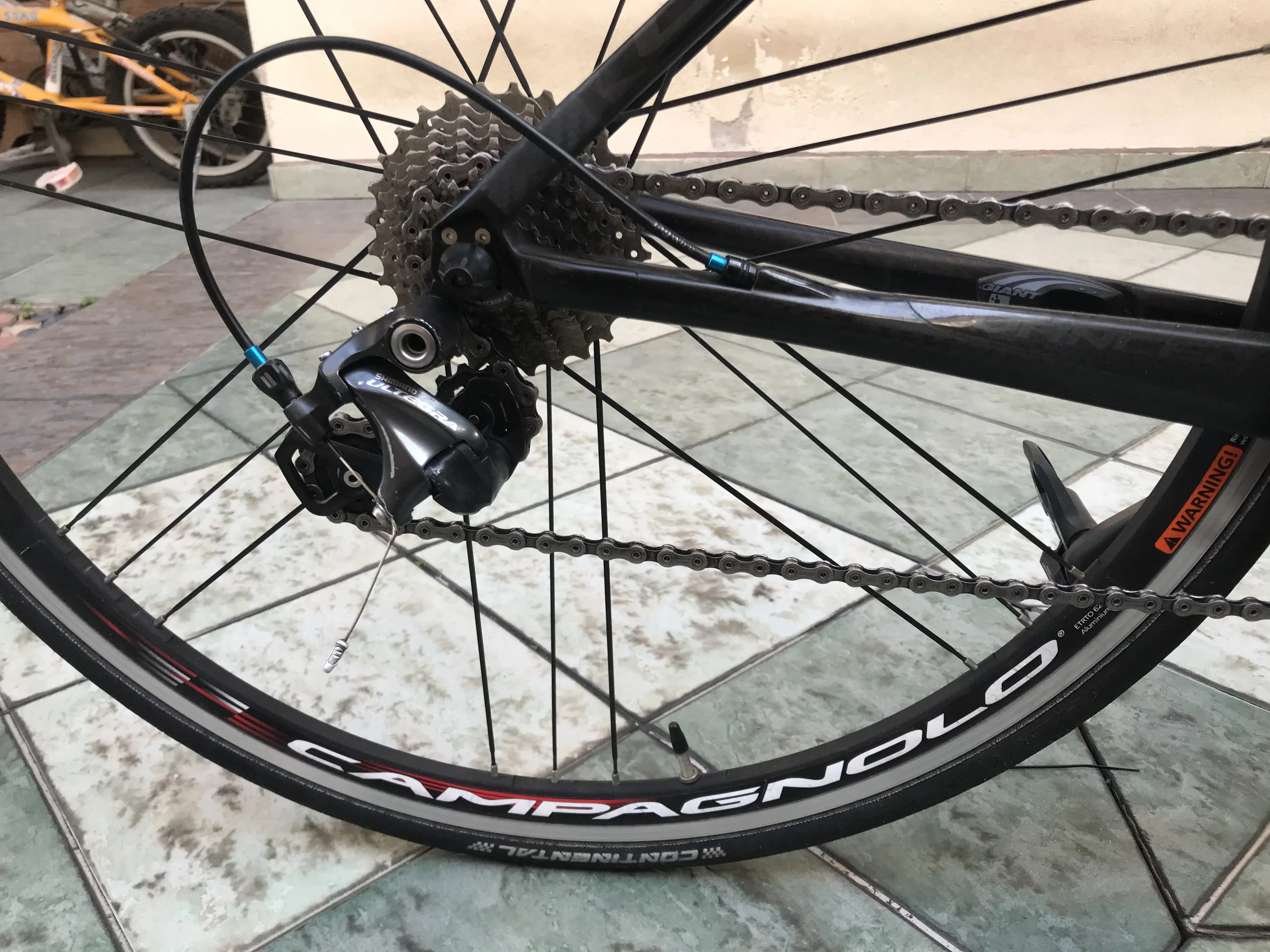 Giant TCR Advance SL with Campagnolo Zonda