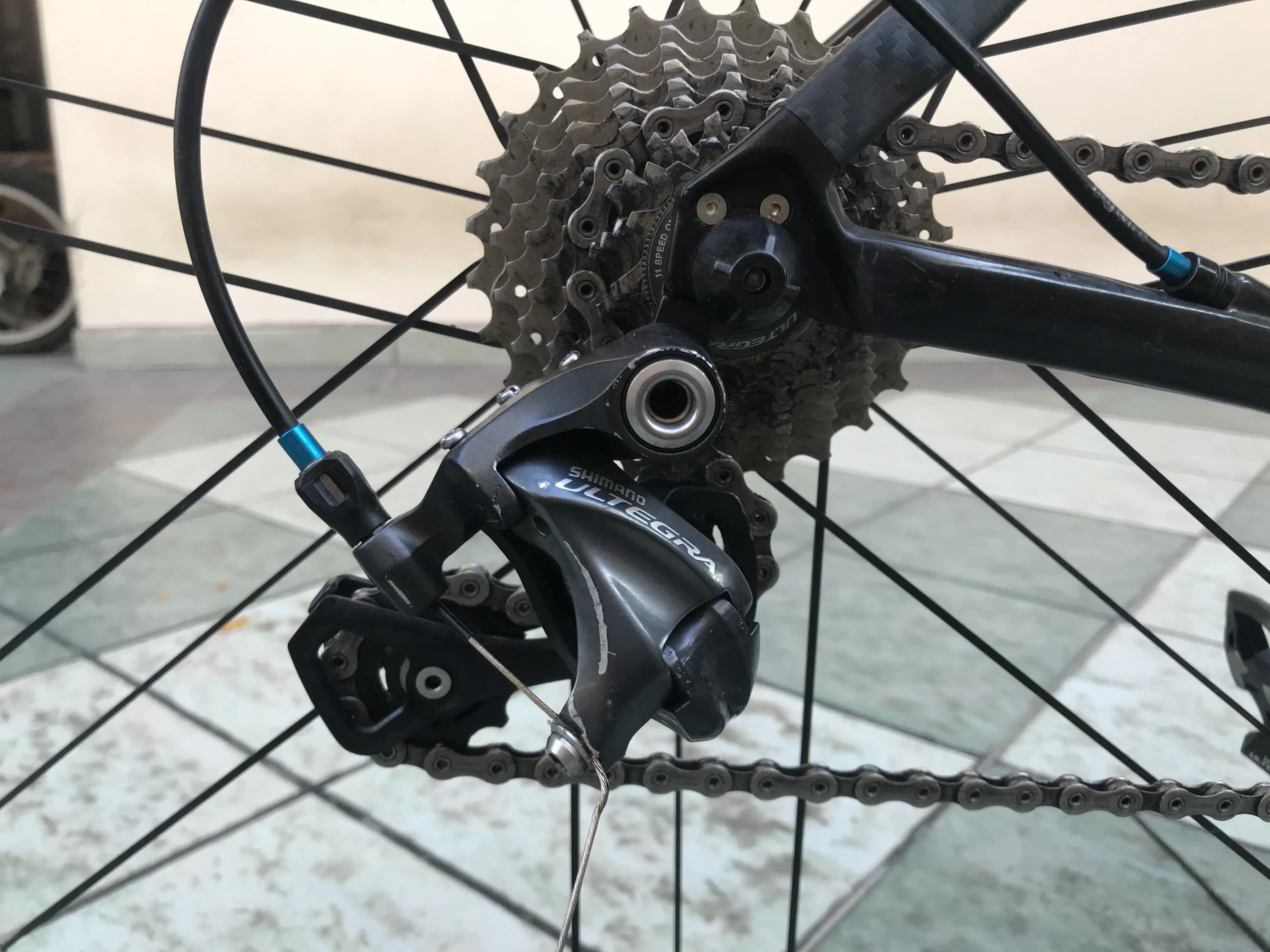Giant TCR Advance SL with Campagnolo Zonda