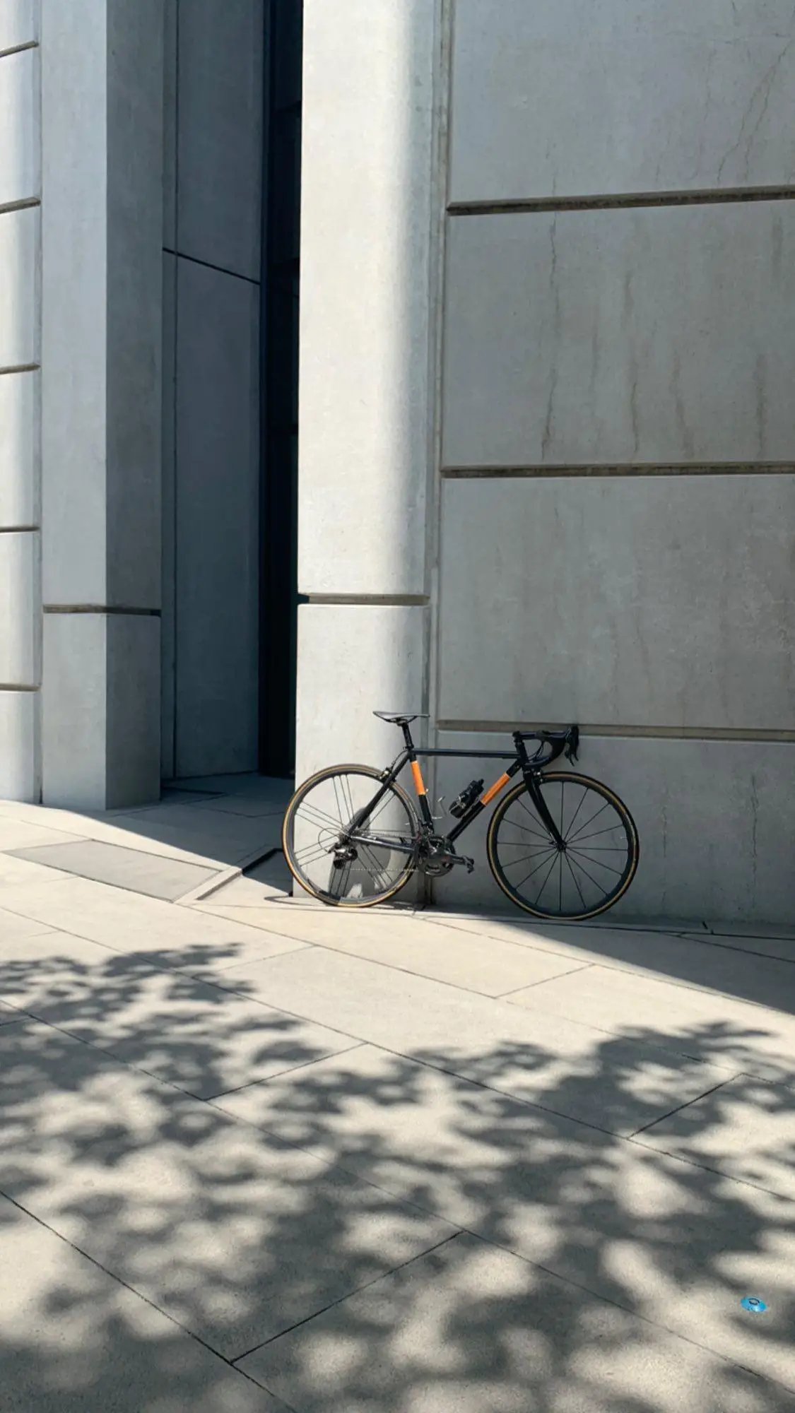 Pegoretti Marcelo 49