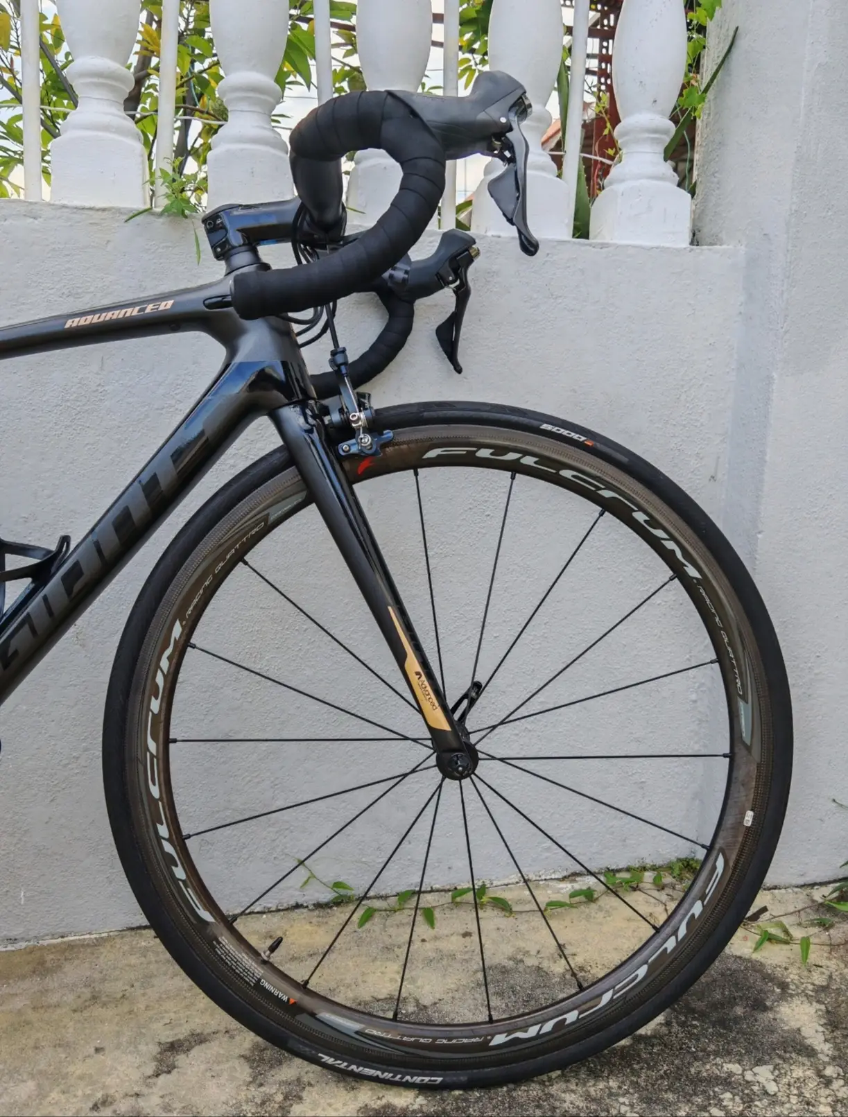 Giant TCR Advance 1 RimBrake (S size) - Like New !!