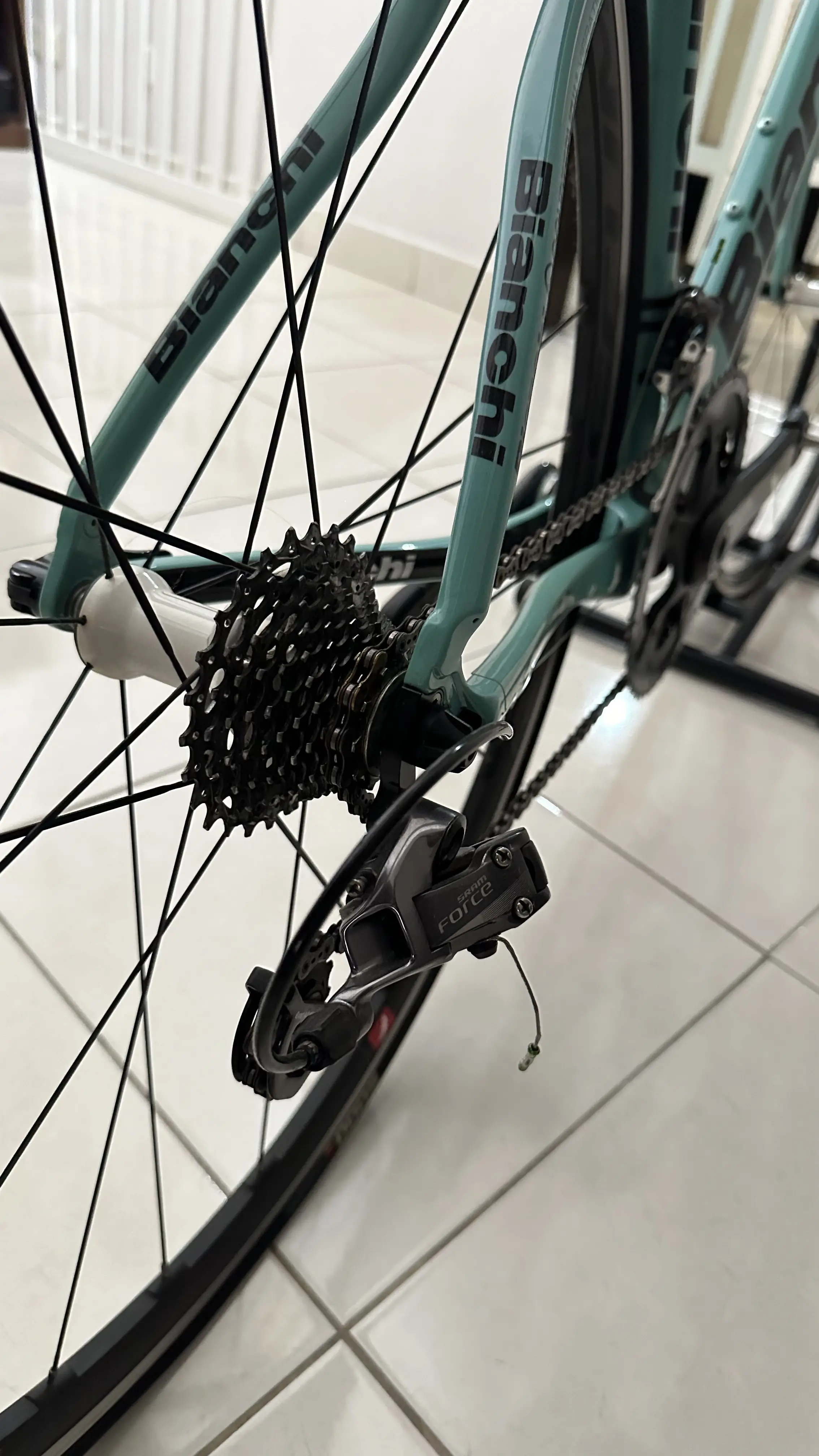 Bianchi Infinito CV 50 size