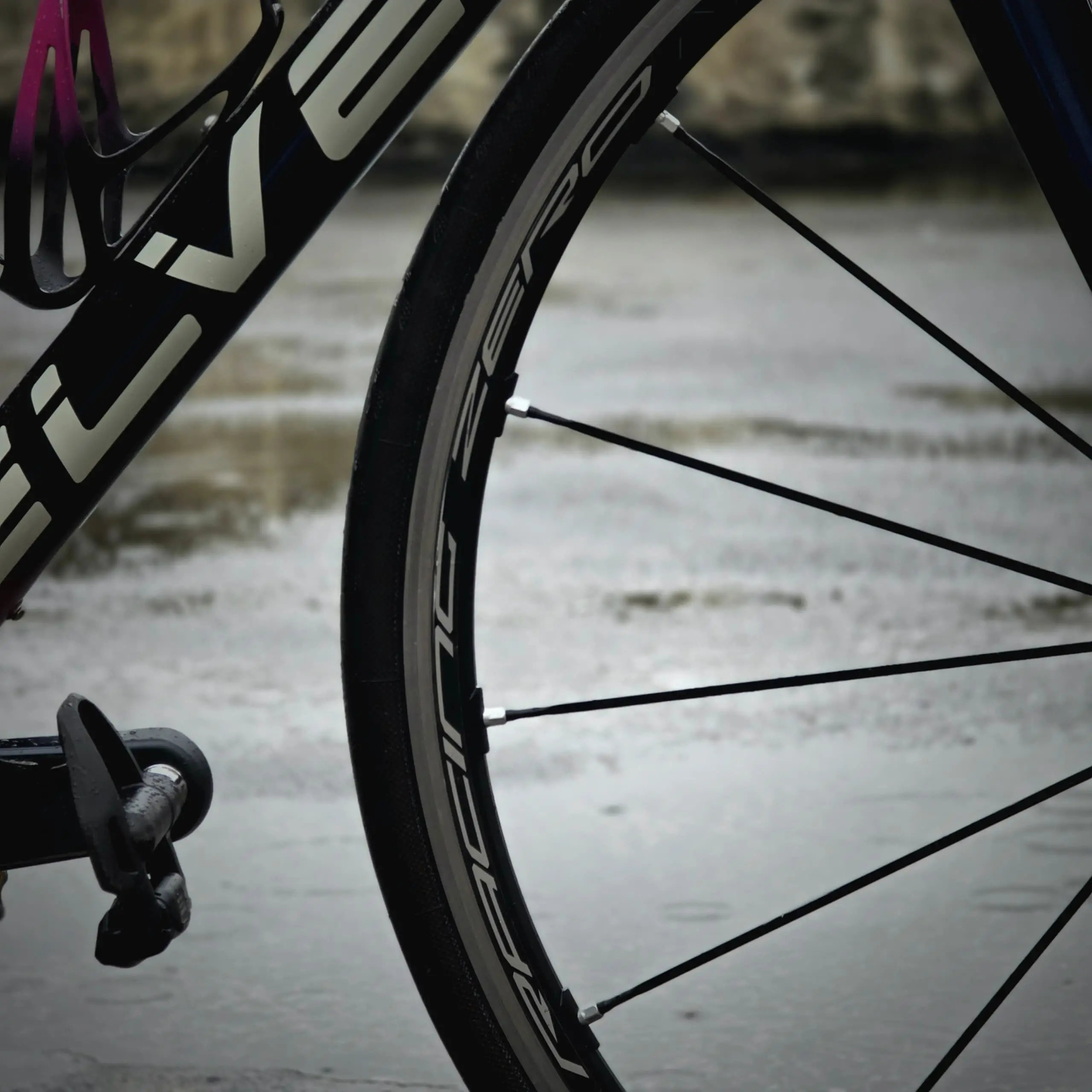 ELVES VANYAR ROADBIKE
