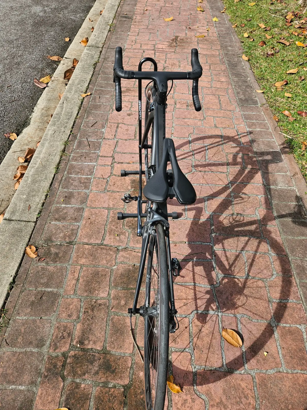 Canyon Ultimate CF SL 8 looking for new owner