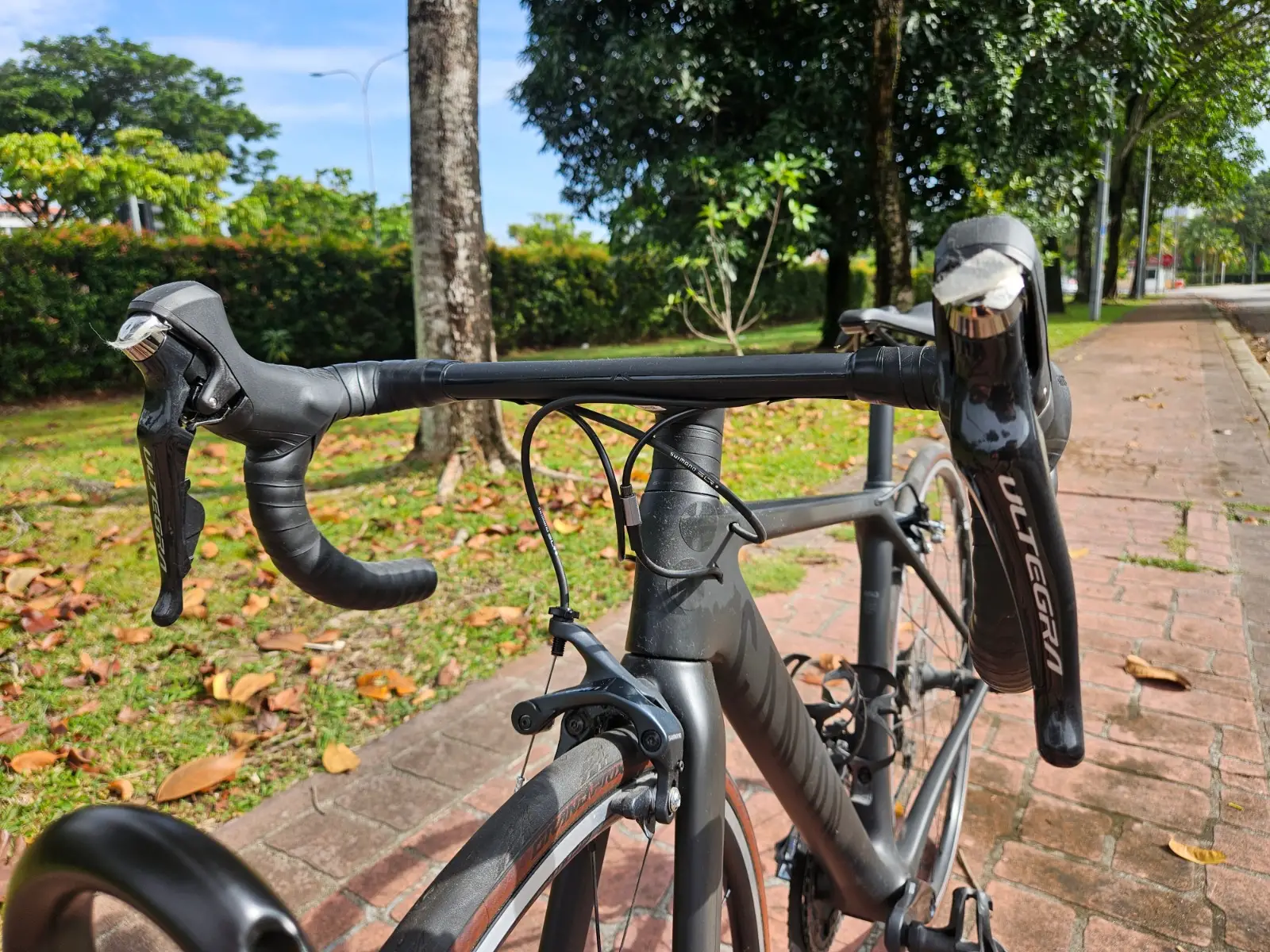 Canyon Ultimate CF SL 8 looking for new owner