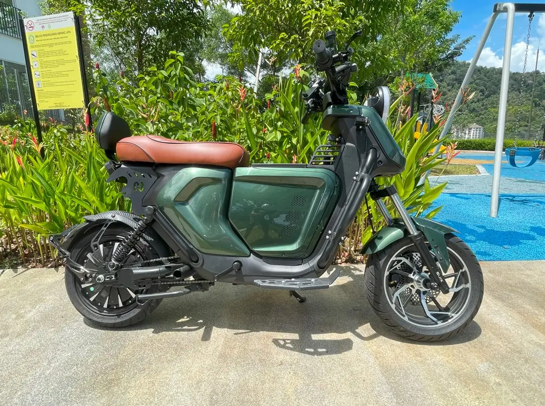Ev Bike- Very powerful 800W E-motor- Style & performance.