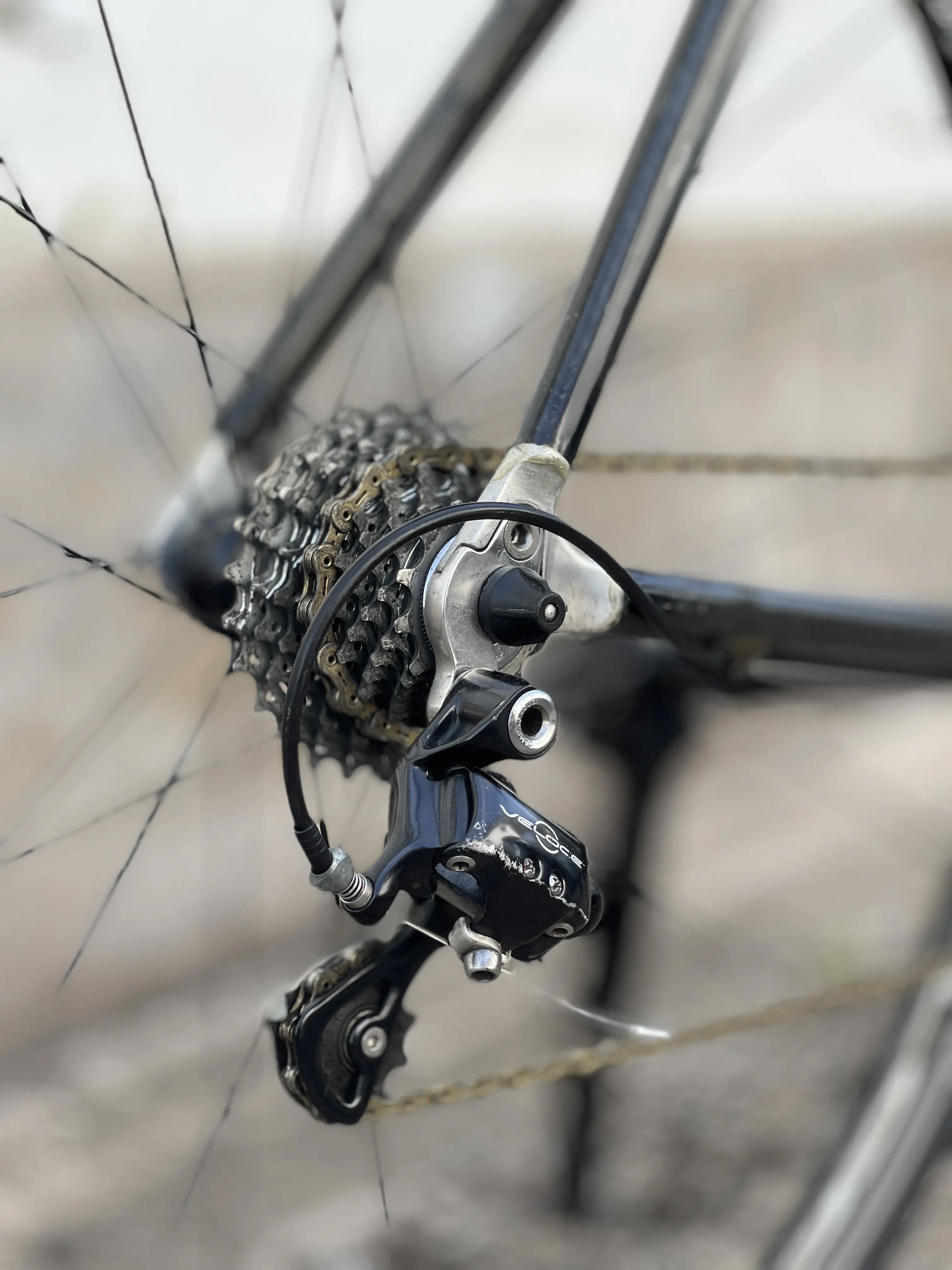 carbon roadbike proton t-sprint 0172818335