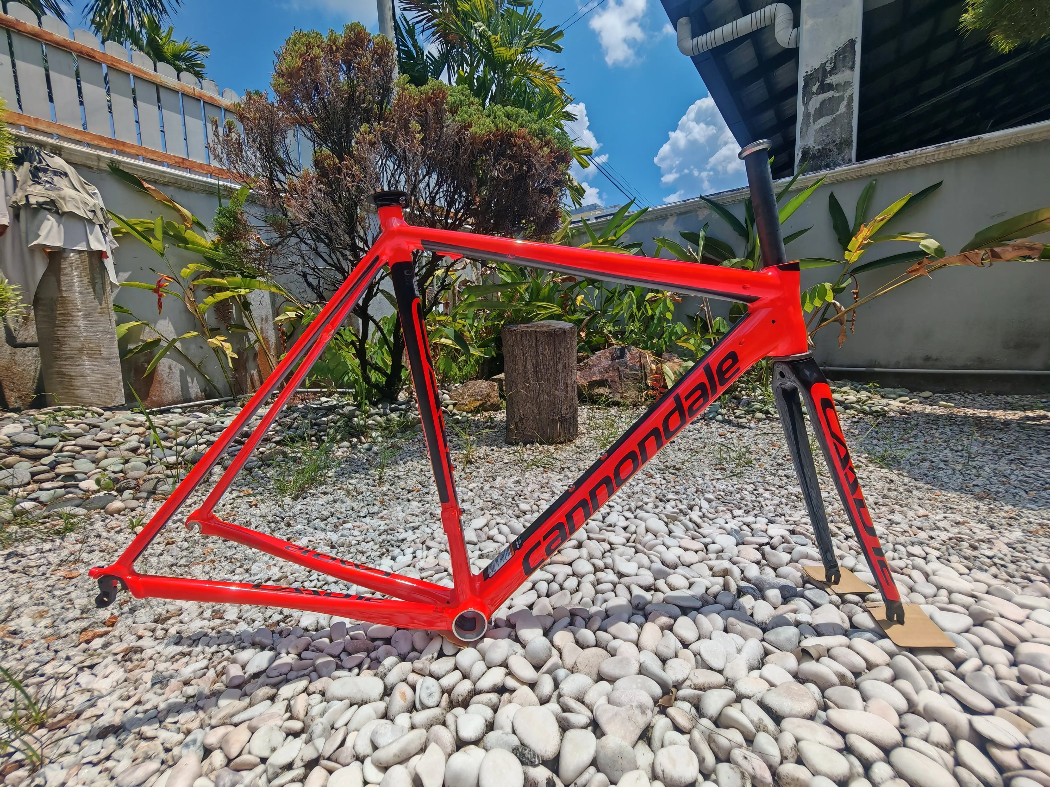 New Caad 12 frame - bought from Japan
