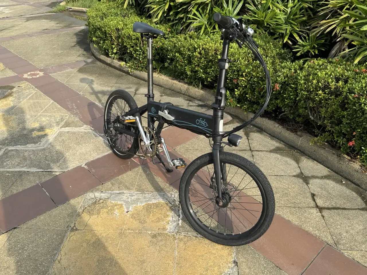 Fiido D4s Electric Hybrid Folding Bike