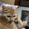 amyzanna104