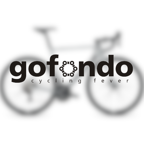 GoFoldies