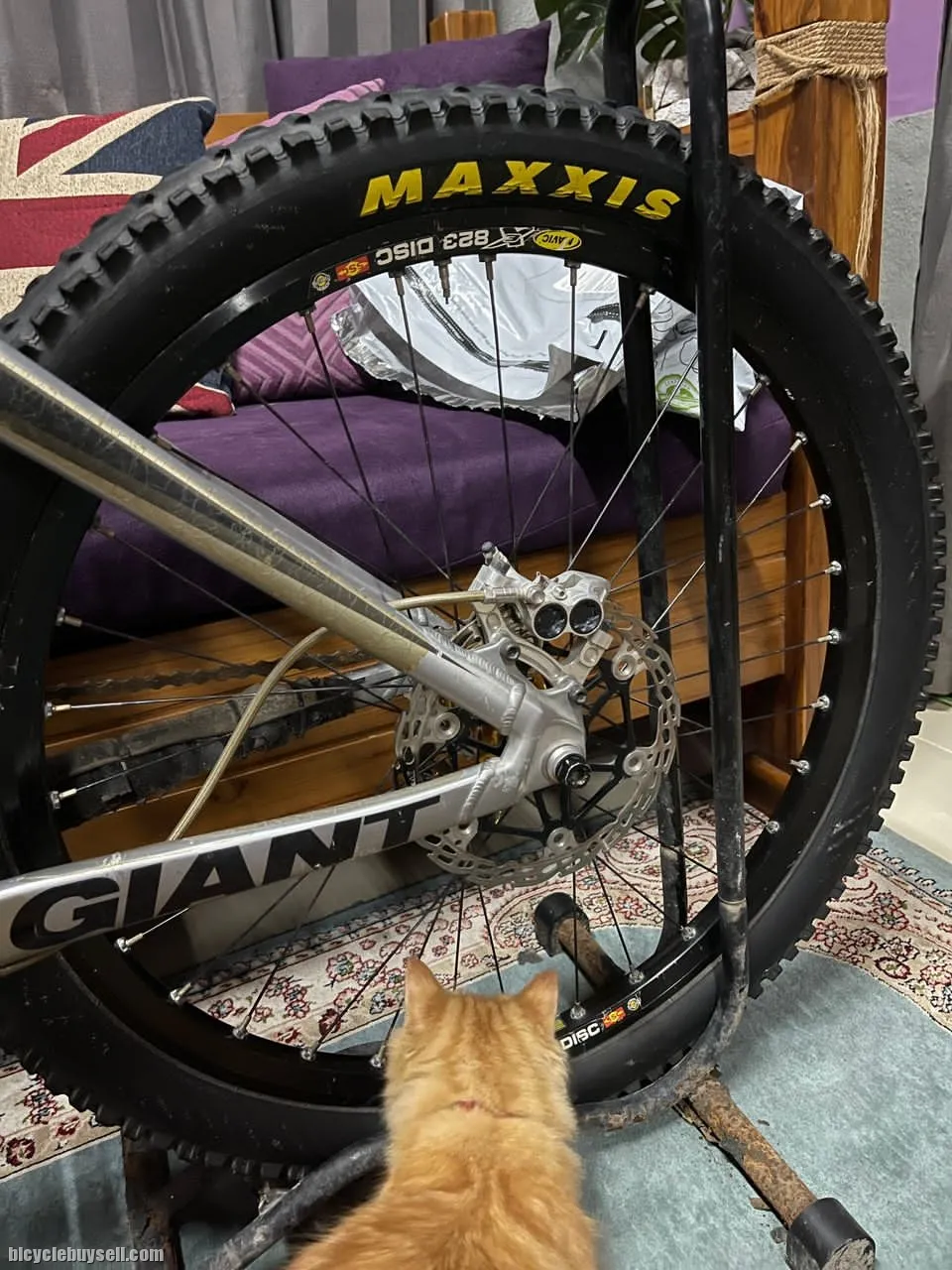 Giant Downhill Bike