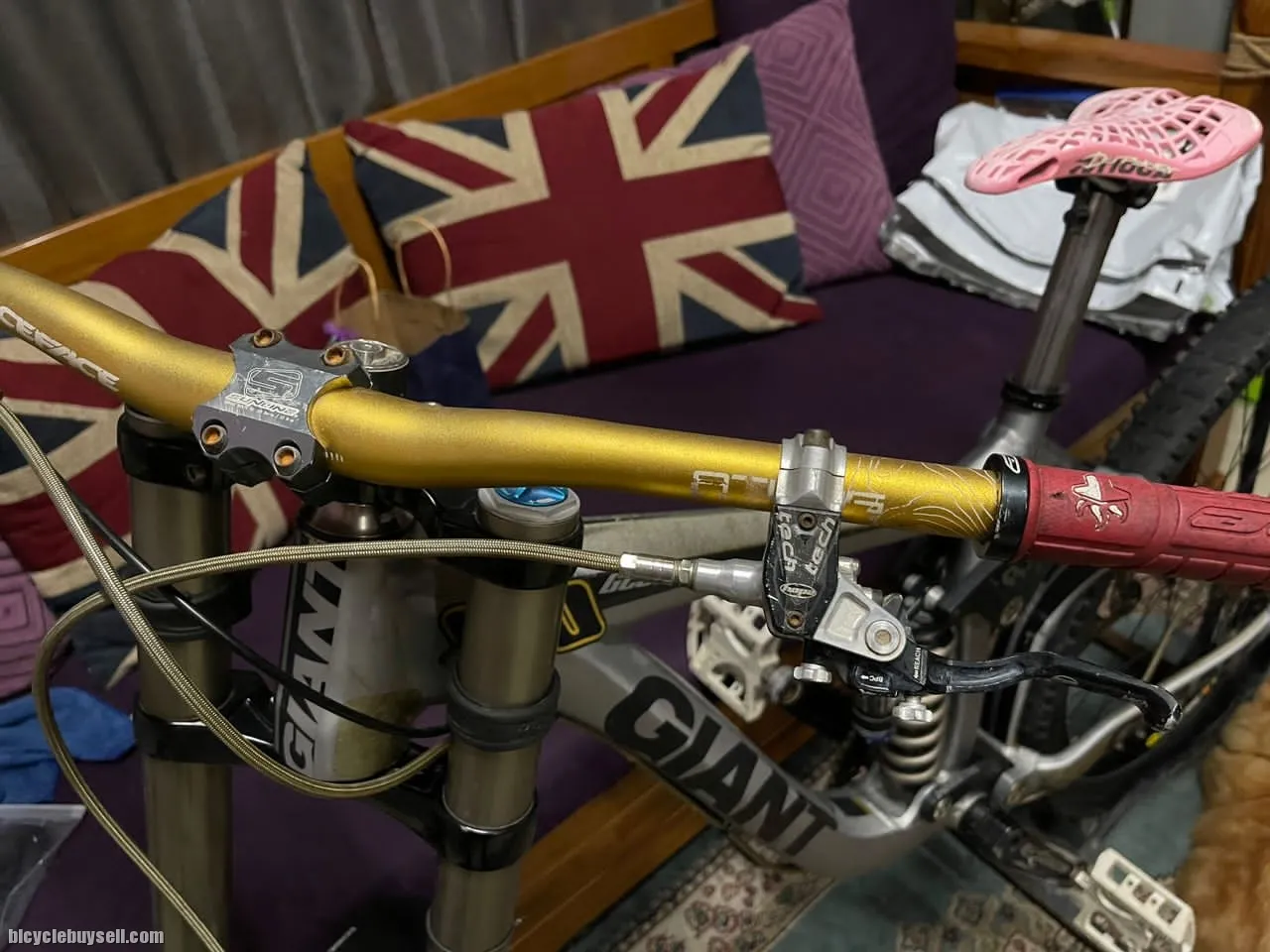 Giant Downhill Bike