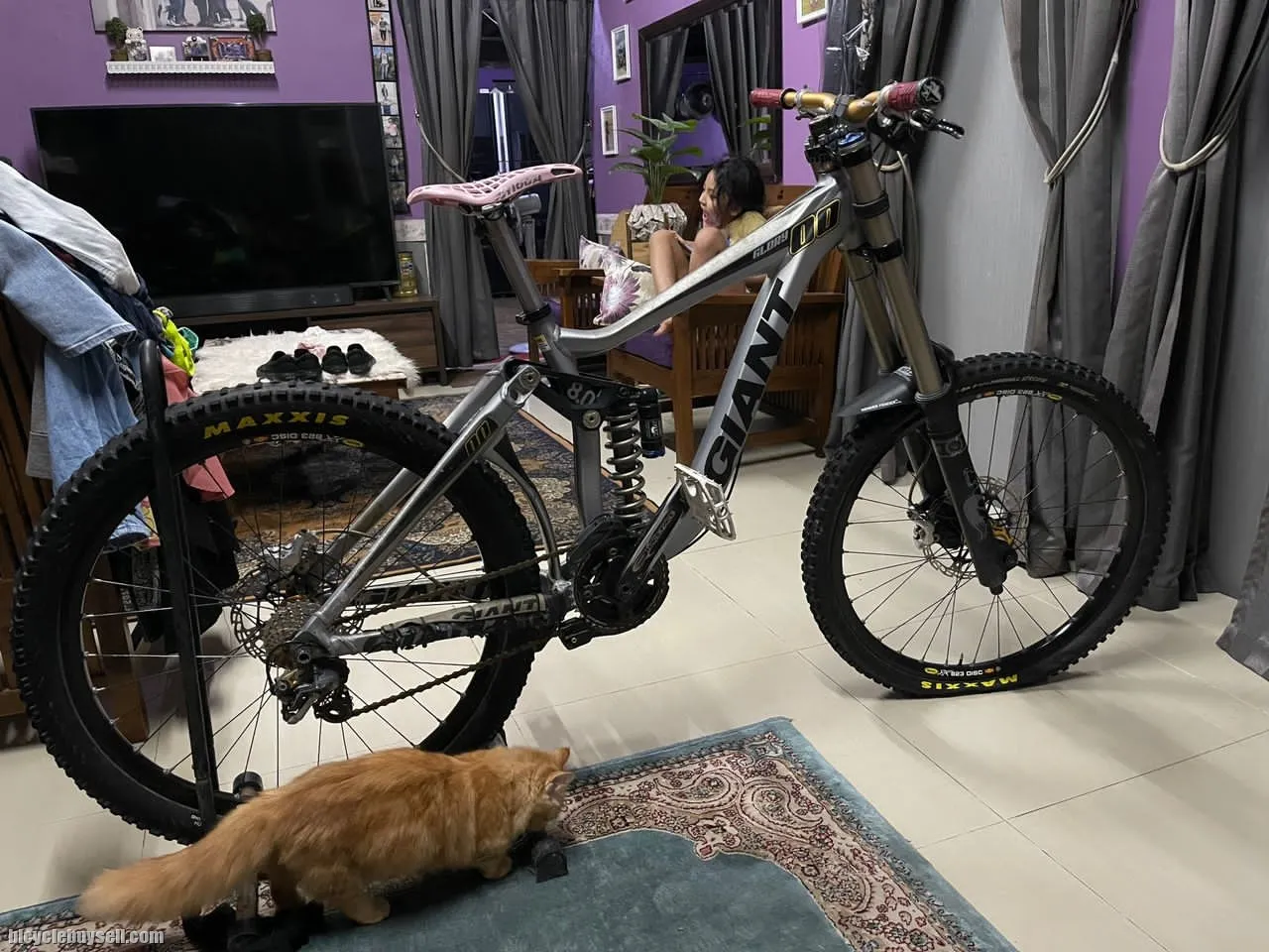 Giant Downhill Bike