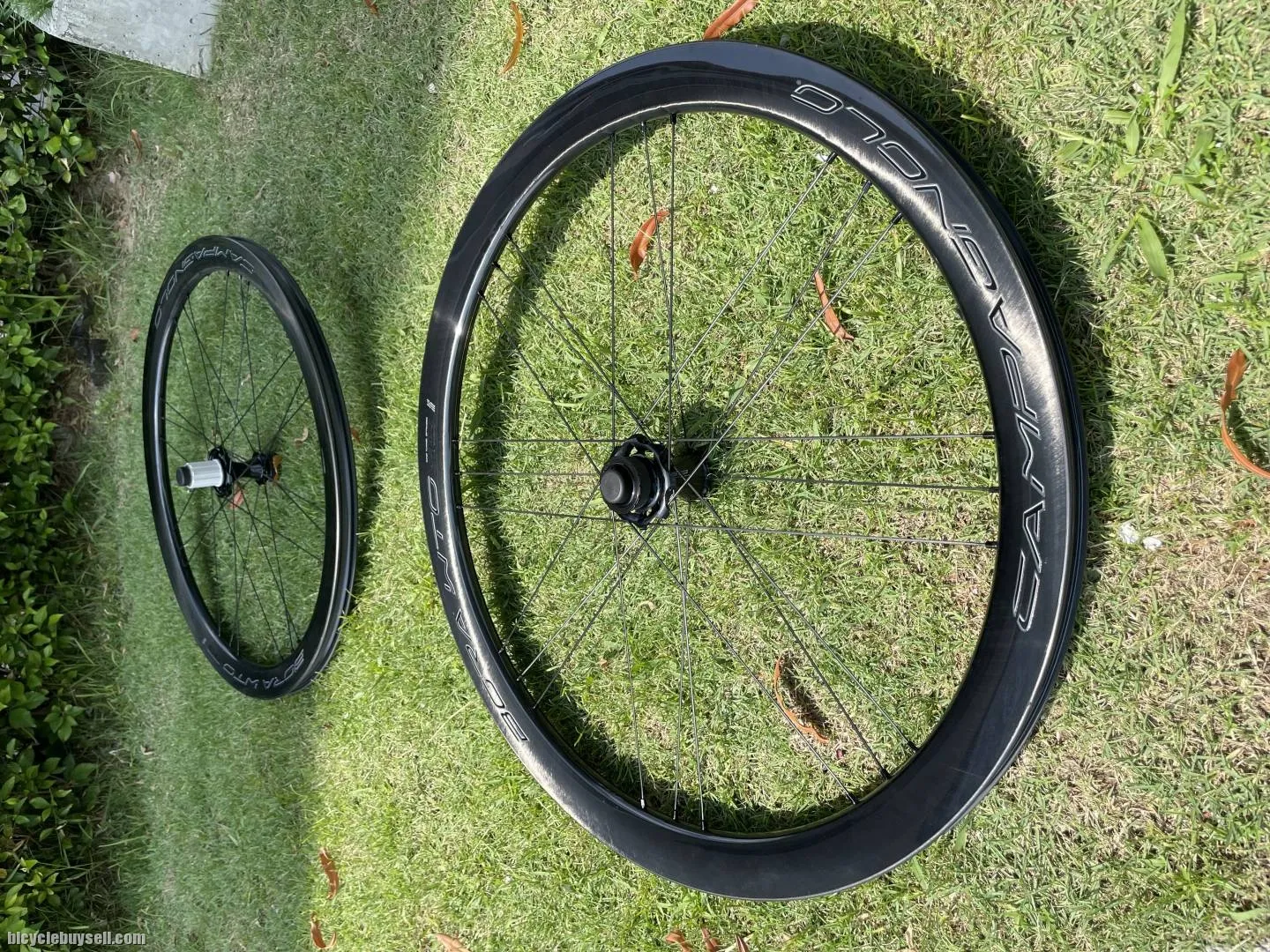 Campagnolo Bora WTO 45 Disc