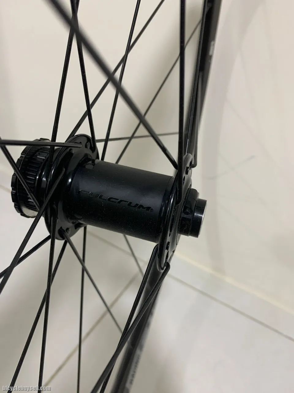 WTS Fulcrum Racing 6 DB