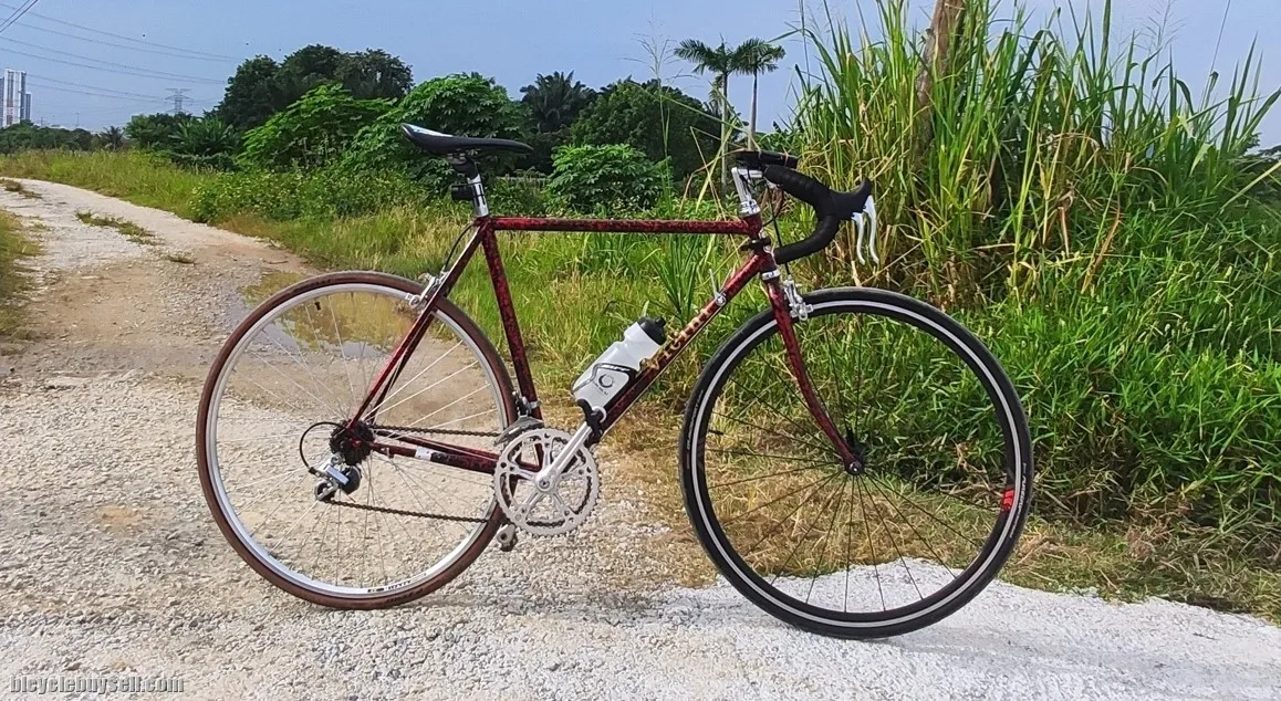 1970s Vicini Vintage road bike