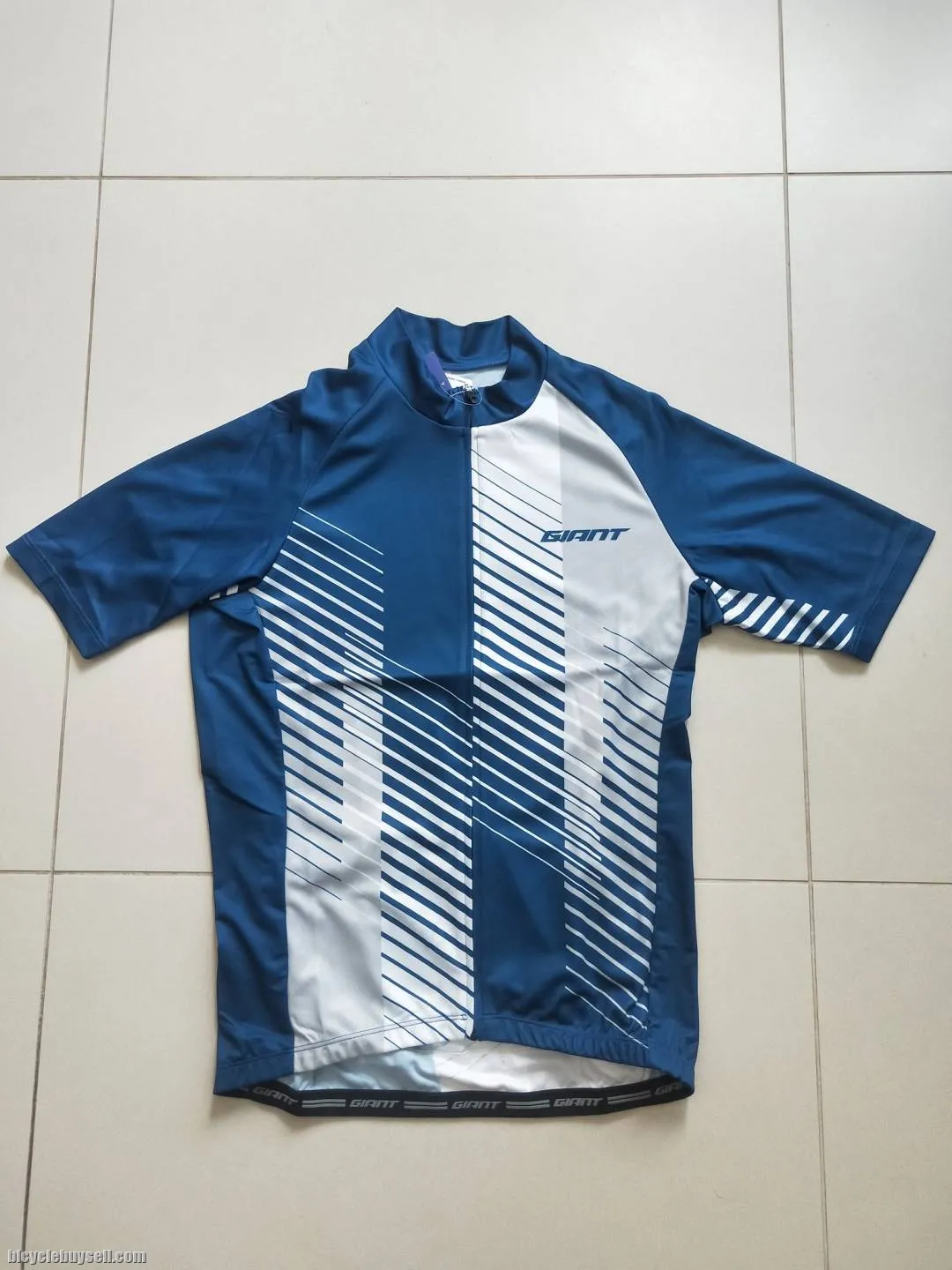 Entry Series 2021 Edition Blue/White Short Sleeves - Club Cut Cycling Jersey