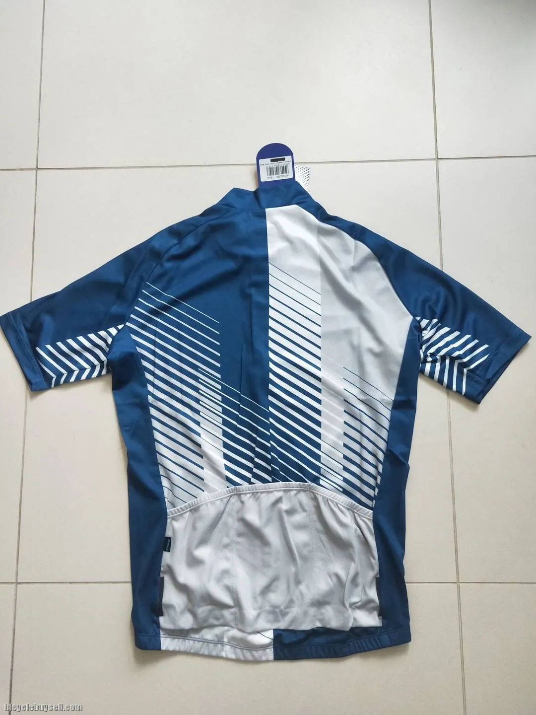Entry Series 2021 Edition Blue/White Short Sleeves - Club Cut Cycling Jersey