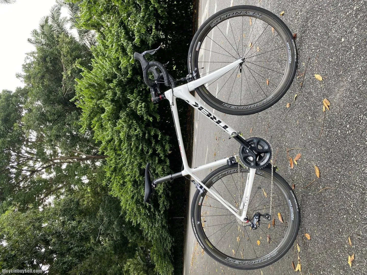Trek Emonda SL5