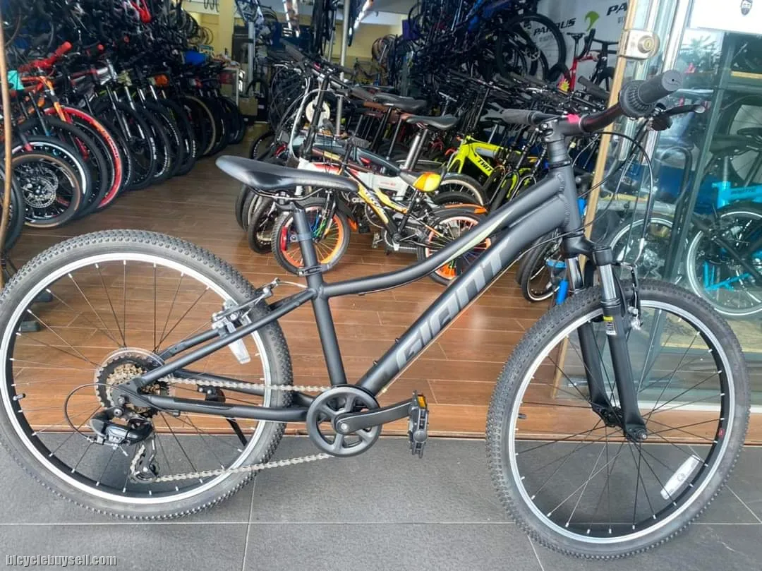 24â€ #Giant_XTC_MTB