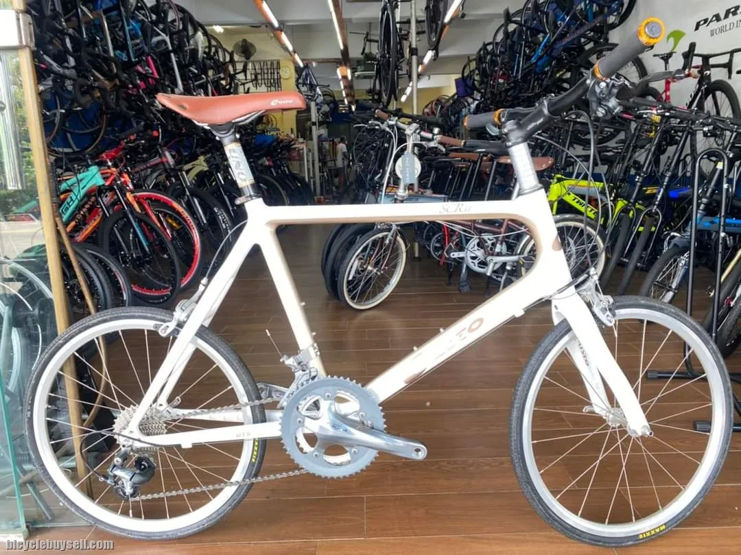 Gusto_SCR1.1 Minivelo  Carbon Frame