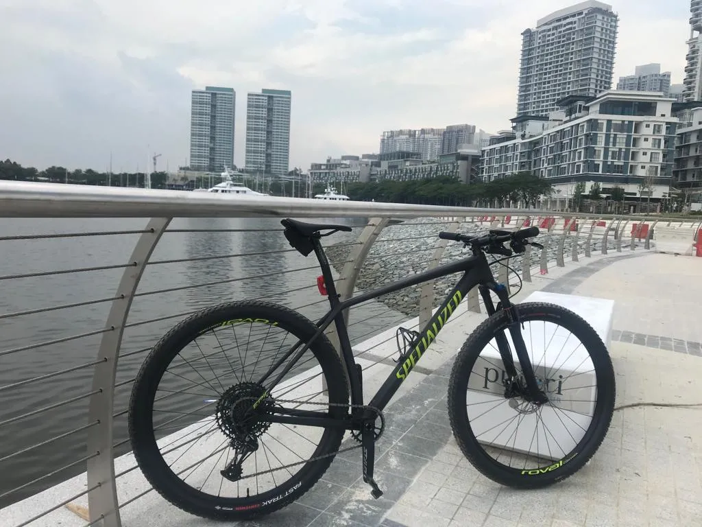 SOLD Specialized Epic Hardtail