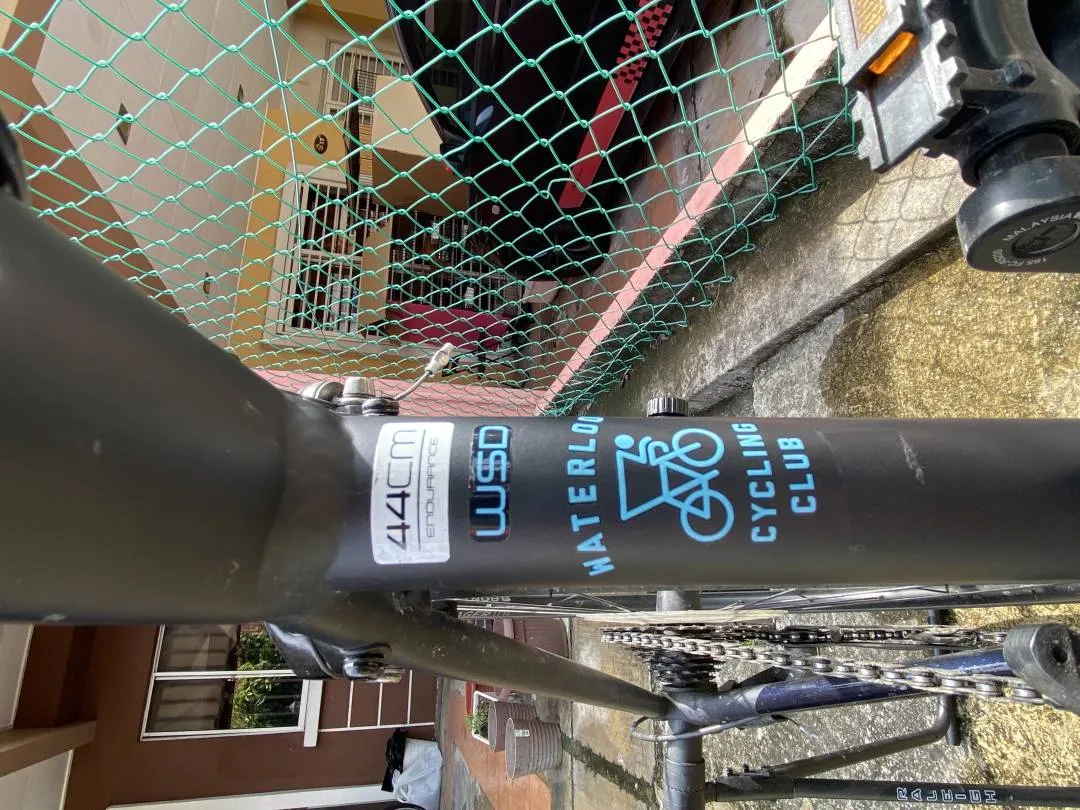Trek Domane AL2 for sale