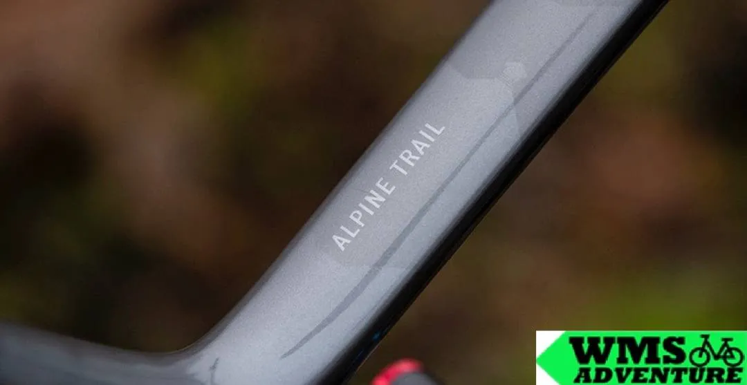 Marin Alpine Trail Carbon 2  C2 29" 2023