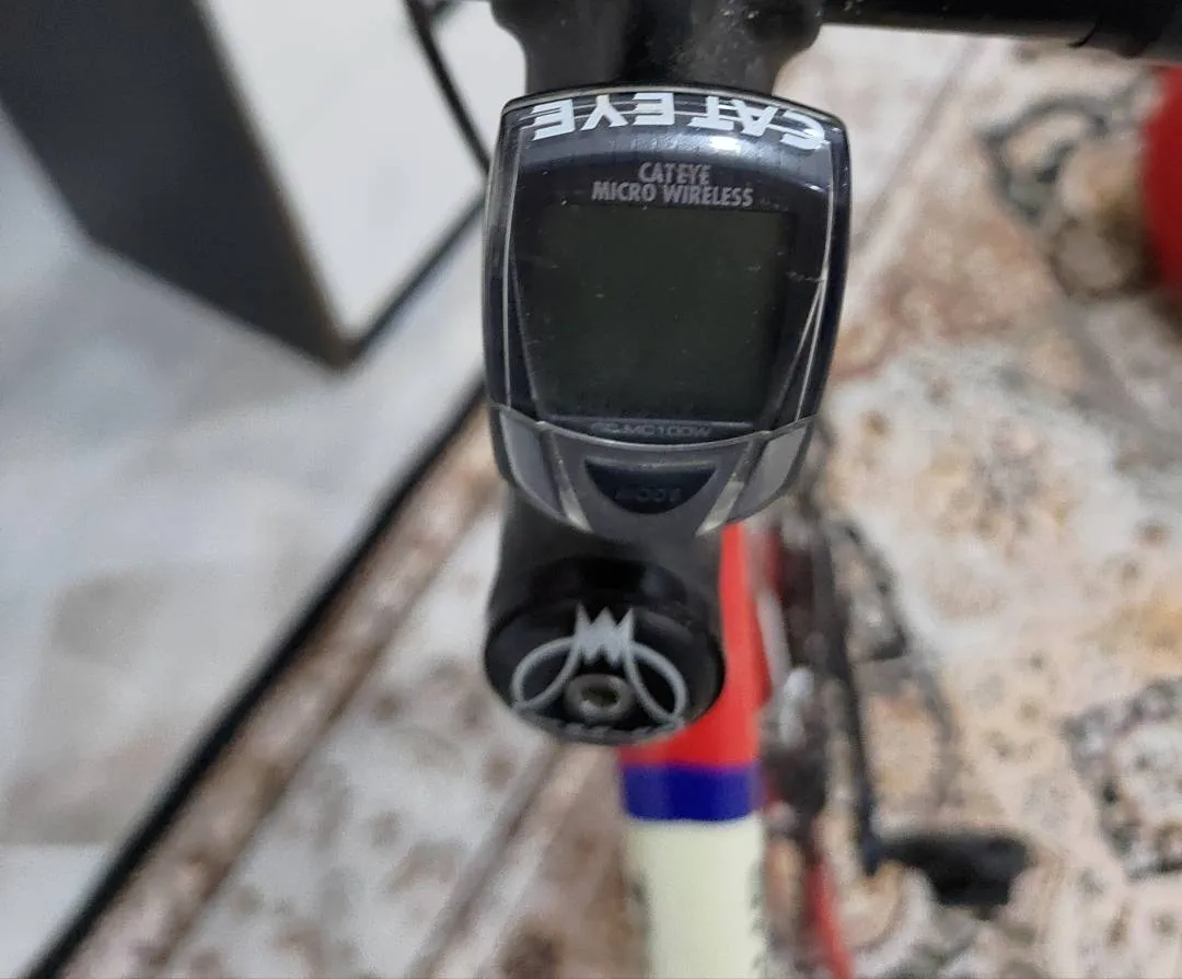 FUJI TEAM ISSUE