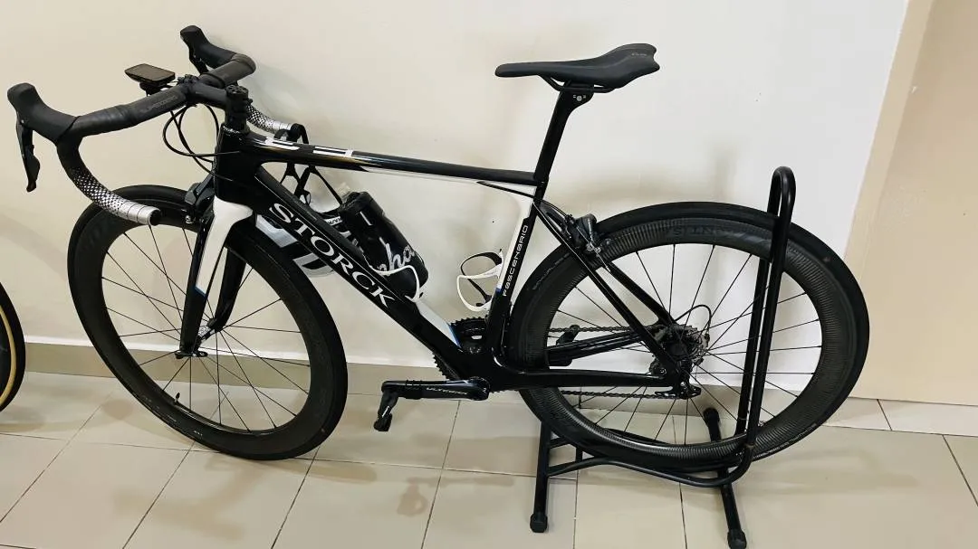 Storck Fascenario For Sale
