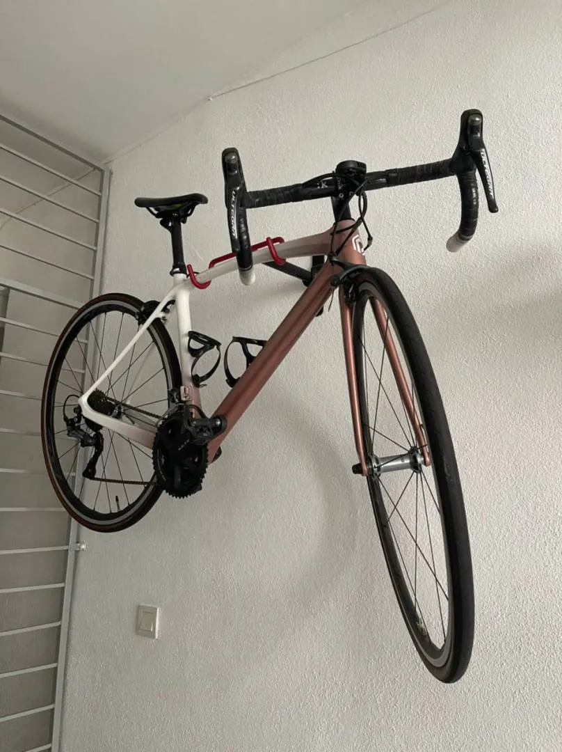POLYGON CARBON FRAME 2019 - NEGO