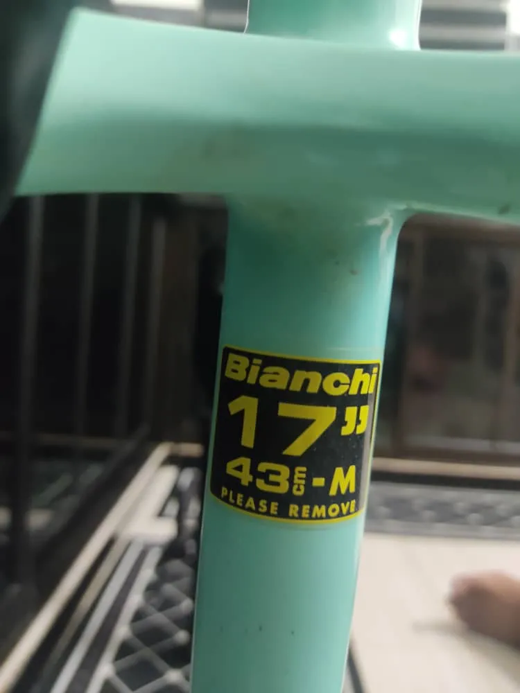 Bianchi Nitron (29er) Carbon Frame + Reba (Boost;100mm travel)