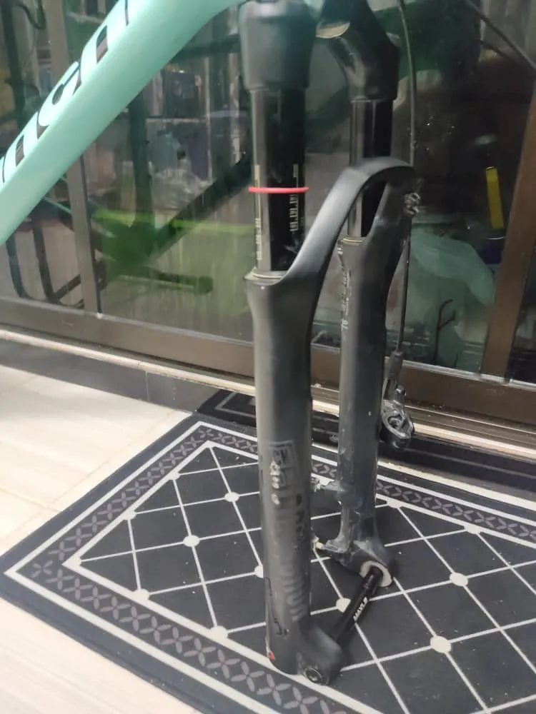 Bianchi Nitron (29er) Carbon Frame + Reba (Boost;100mm travel)