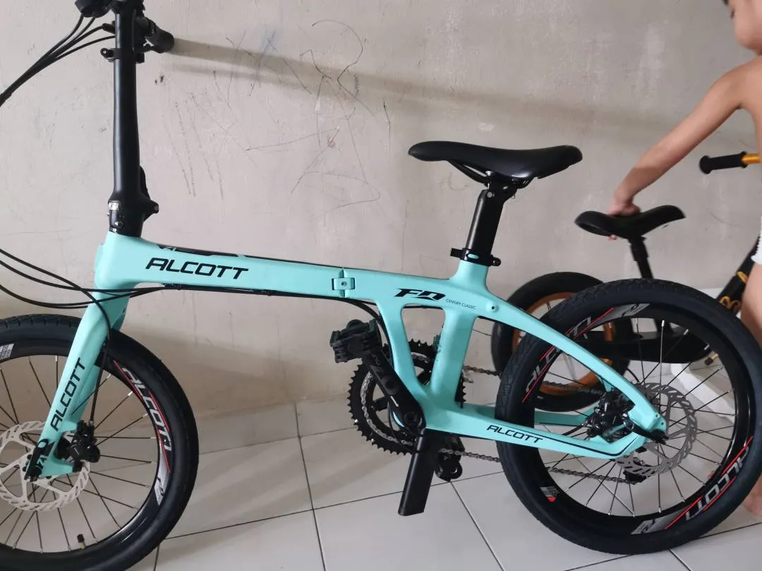Z1 Allcott 20 Folding Bike Carbon Shimano 105