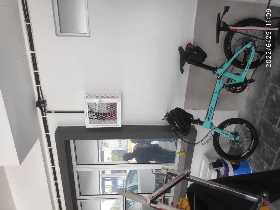 Z1 Allcott 20 Folding Bike Carbon Shimano 105
