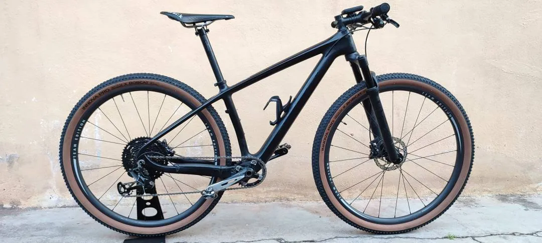 Pro Hard Team Edition Carbon MTB 29er