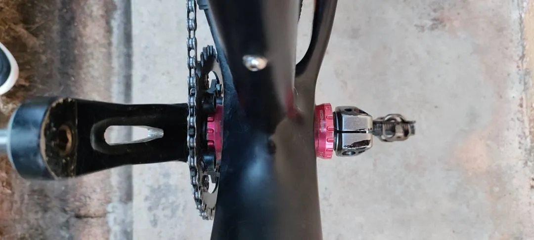 Pro Hard Team Edition Carbon MTB 29er