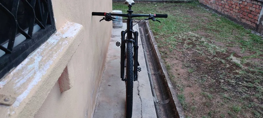 Pro Hard Team Edition Carbon MTB 29er