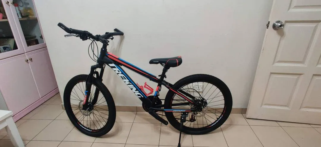 Trekking Bike