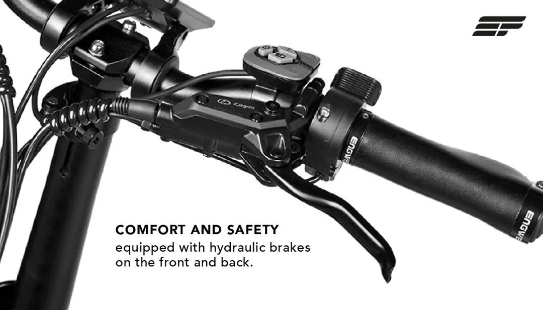 Electric Bicycle Engwe Engine Pro