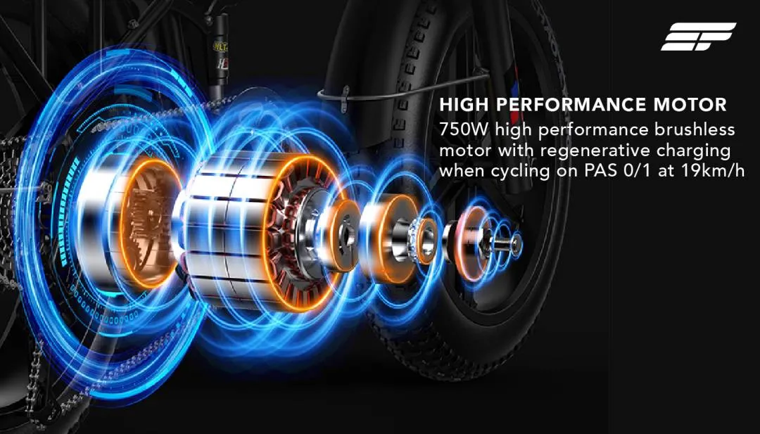 Electric Bicycle Engwe Engine Pro