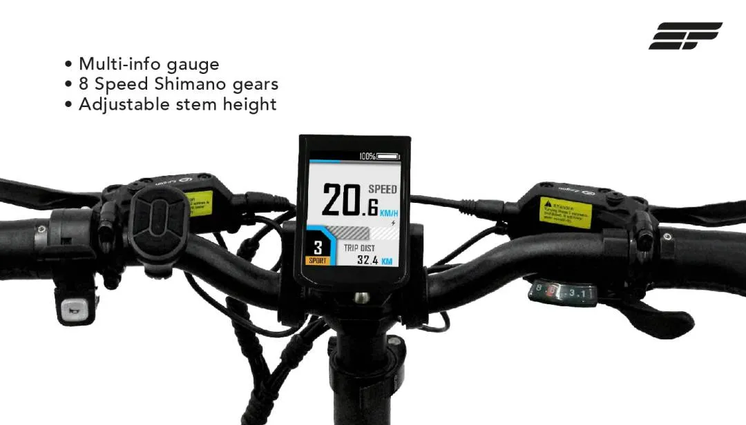 Electric Bicycle Engwe Engine Pro
