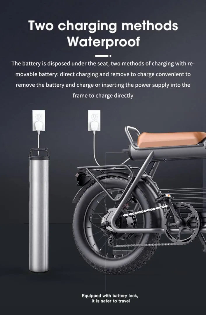Electric Bicycle Coswheel CT20