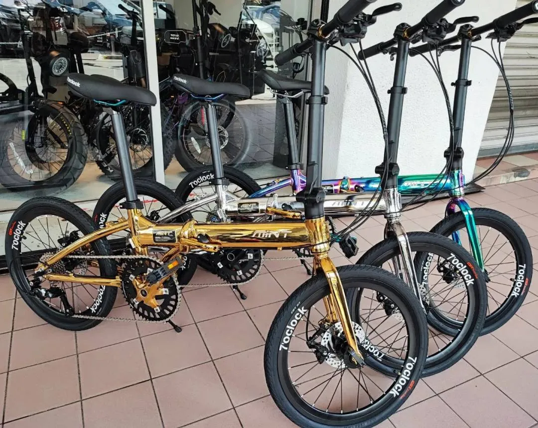 Folding Bicycle Mint 20"inch Bi-fold