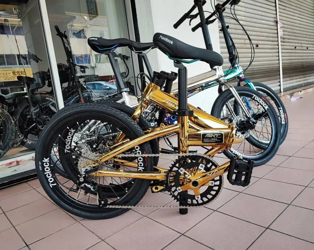 Folding Bicycle Mint 20"inch Bi-fold