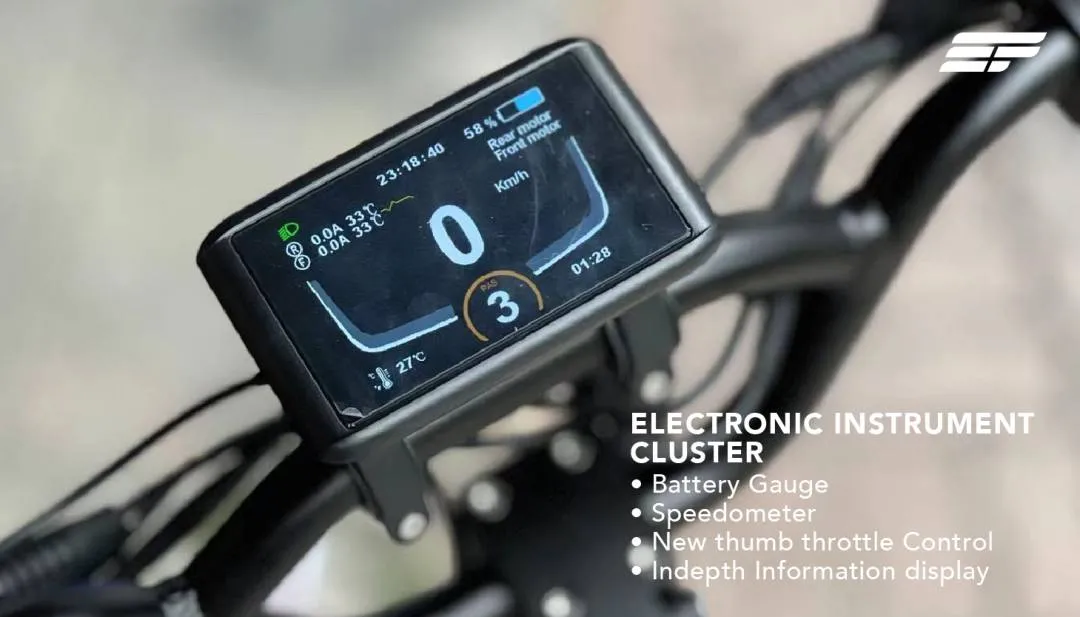 Electric Scooter Hiley Tiger 10 GT (Advanced model)